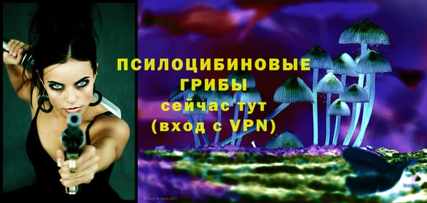 бошки Алзамай