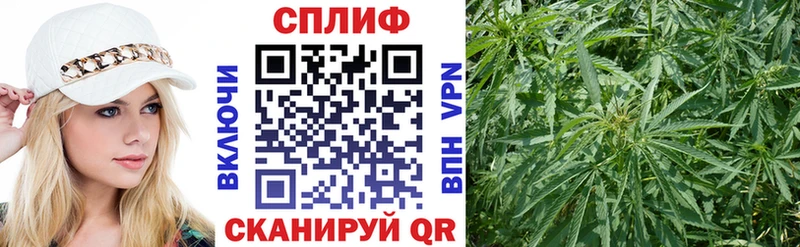 Канабис индика  Цоци-Юрт 